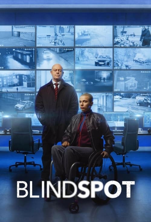 Poster della serie Blindspot