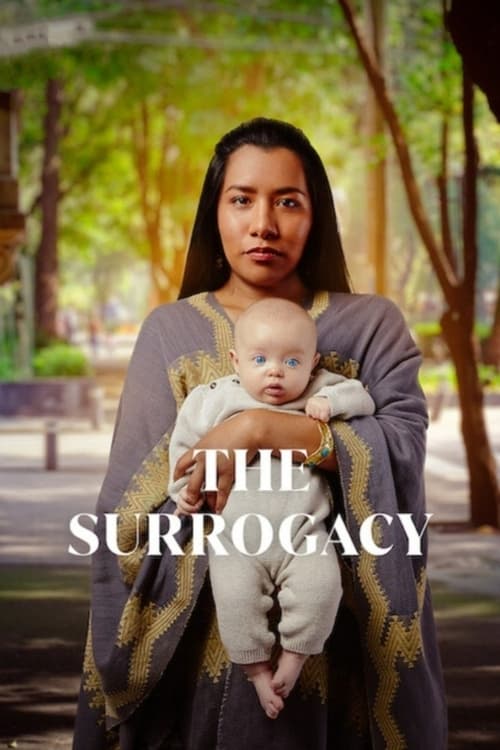 Poster della serie The Surrogacy