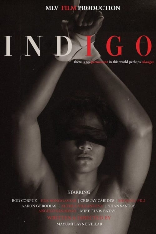 Poster della serie Indigo the Series