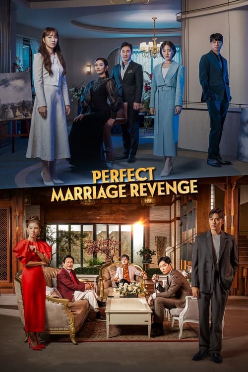 Poster della serie Perfect Marriage Revenge