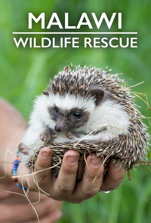 Poster della serie Malawi Wildlife Rescue