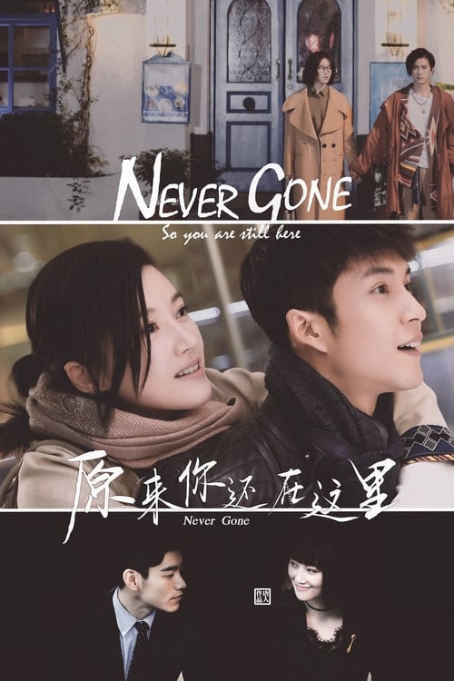 Poster della serie Never Gone