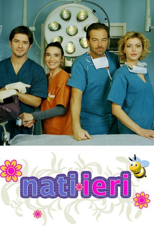 Poster della serie Maternity Ward