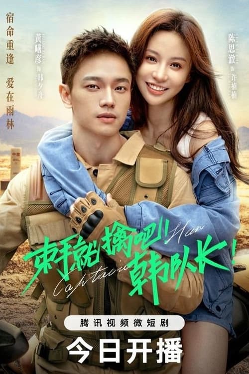 Poster della serie Captain Han