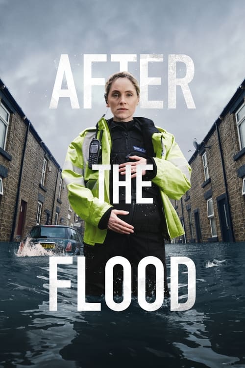 Poster della serie After the Flood