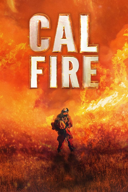 Poster della serie Cal Fire