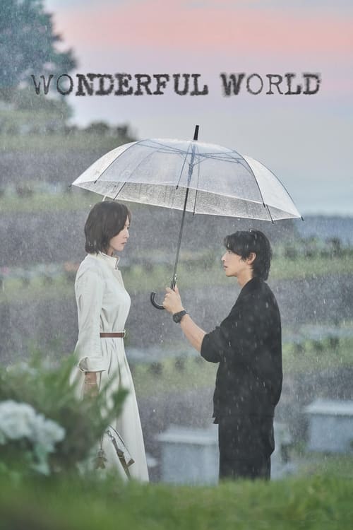 Poster della serie Wonderful World