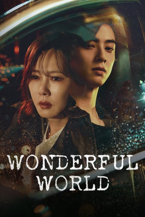 Poster della serie Wonderful World