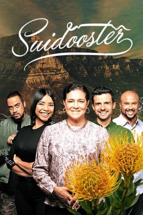 Poster della serie Suidooster