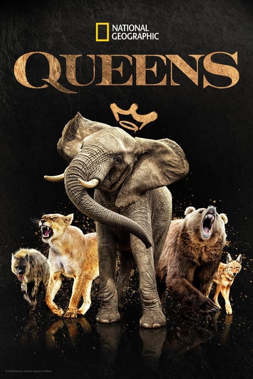 Poster della serie Queens