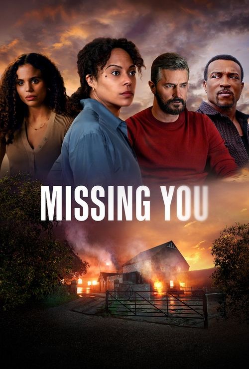 Poster della serie Missing You