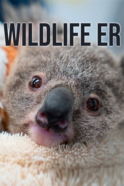 Poster della serie Wildlife ER