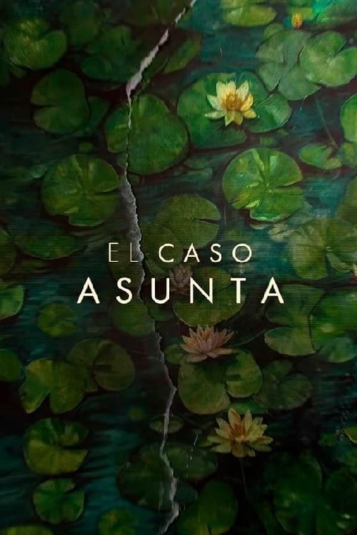 Poster della serie The Asunta Case