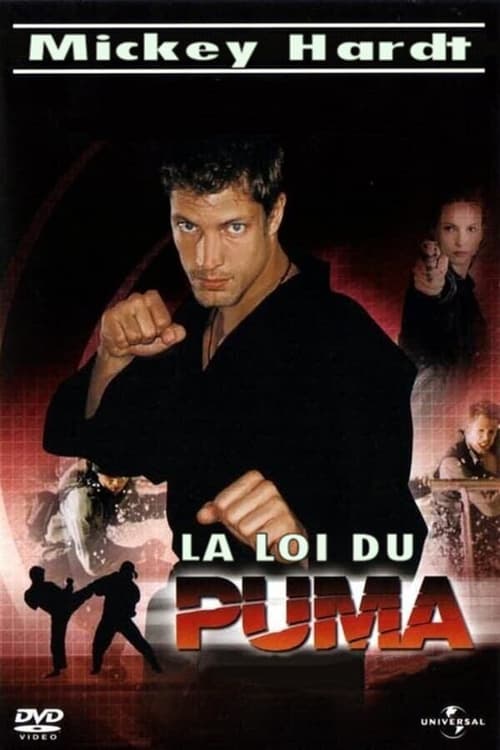 Poster della serie Der Puma - Kämpfer mit Herz