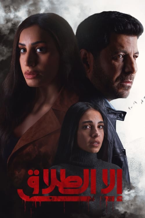 Poster della serie All but Divorce