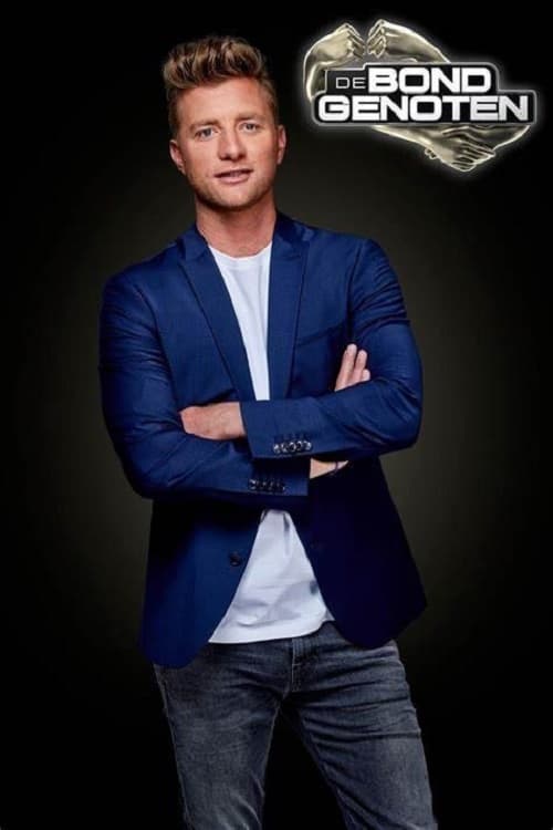 Poster della serie De Bondgenoten