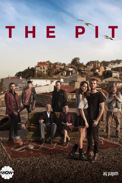 Poster della serie The Pit