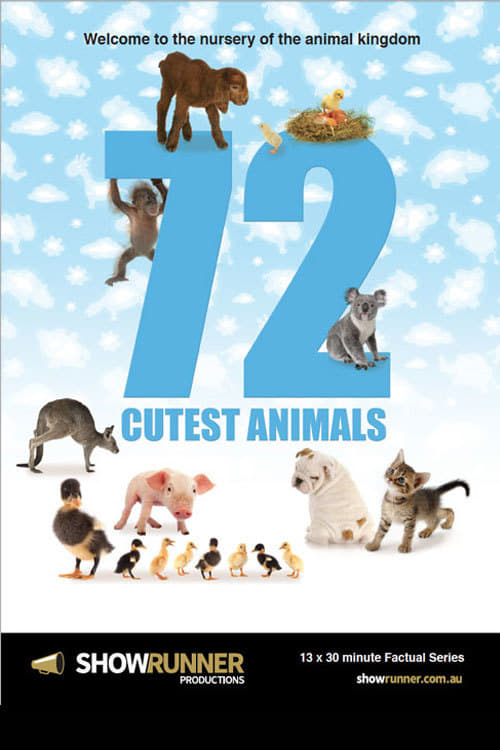 Poster della serie 72 Cutest Animals