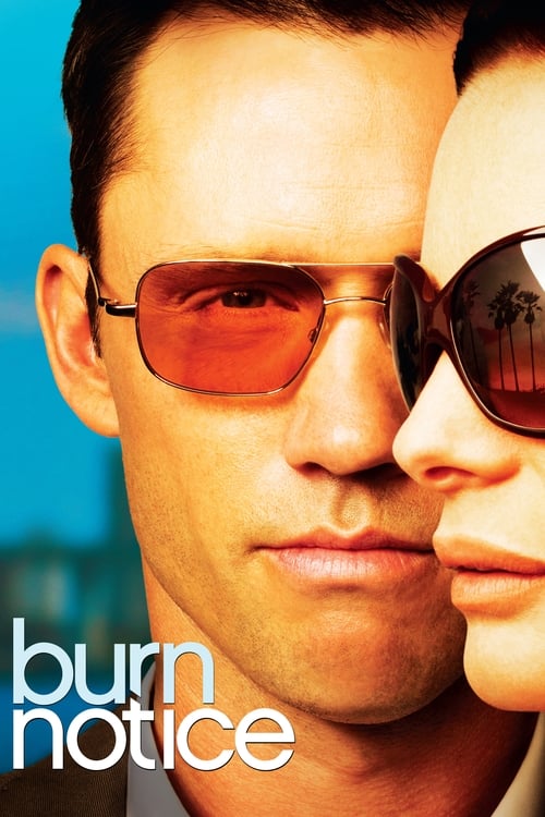 Poster della serie Burn Notice