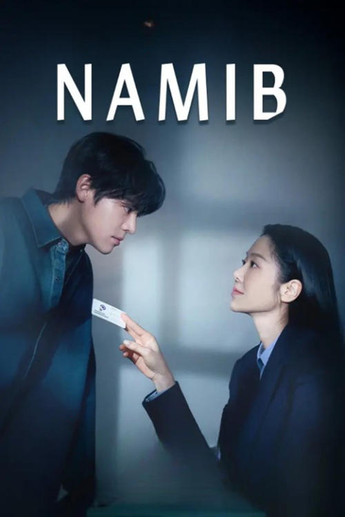 Poster della serie Namib