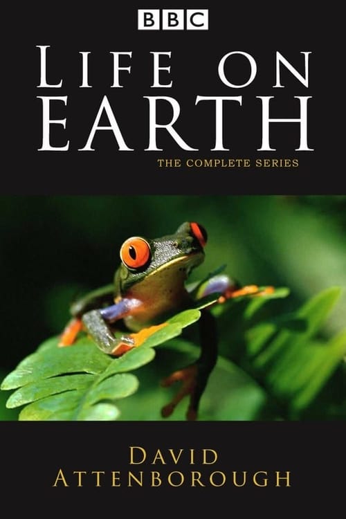 Poster della serie Life on Earth