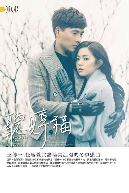 Poster della serie Someone Like You