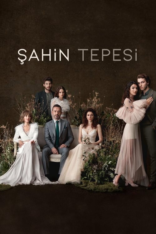 Poster della serie Şahin Tepesi