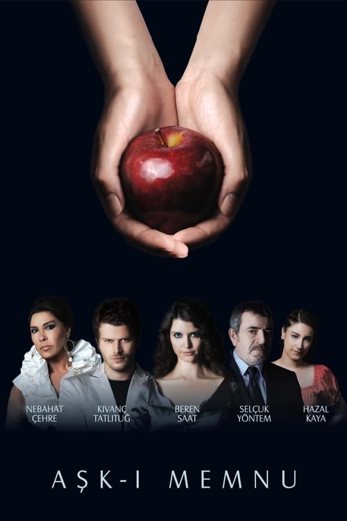 Poster della serie Forbidden Love