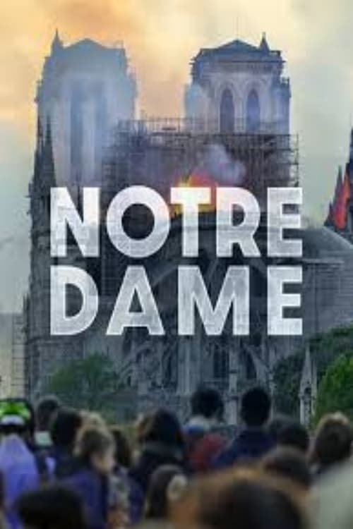 Poster della serie Notre-Dame