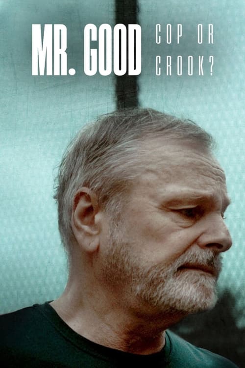 Poster della serie Mr. Good: Cop or Crook?