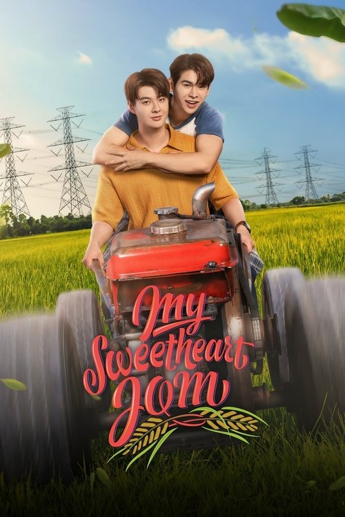 Poster della serie My Sweetheart Jom