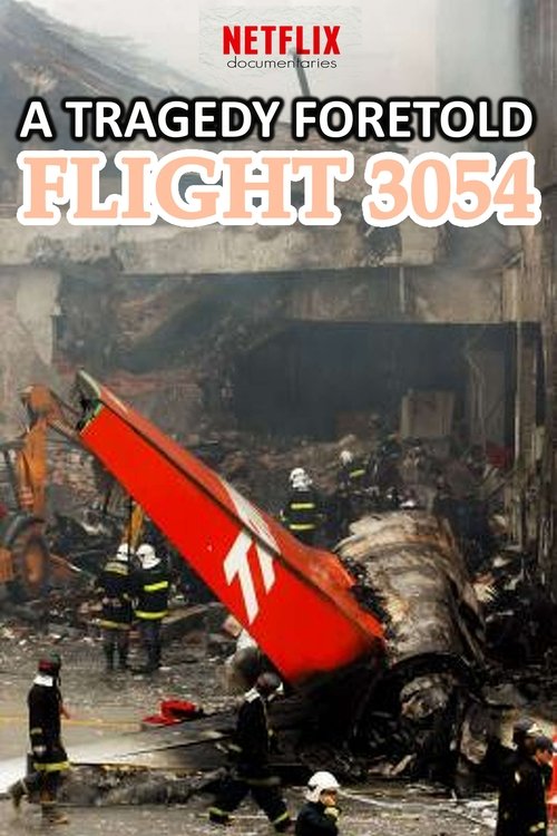 Poster della serie A Tragedy Foretold: Flight 3054