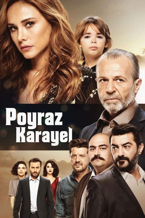 Poster della serie Poyraz Karayel
