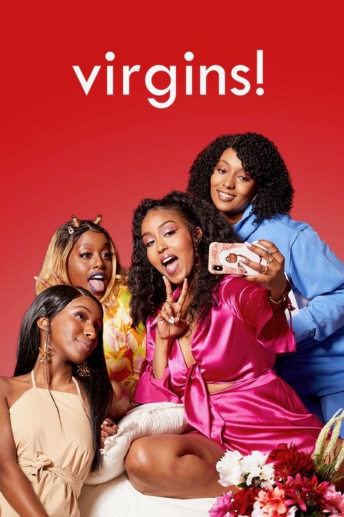 Poster della serie virgins!