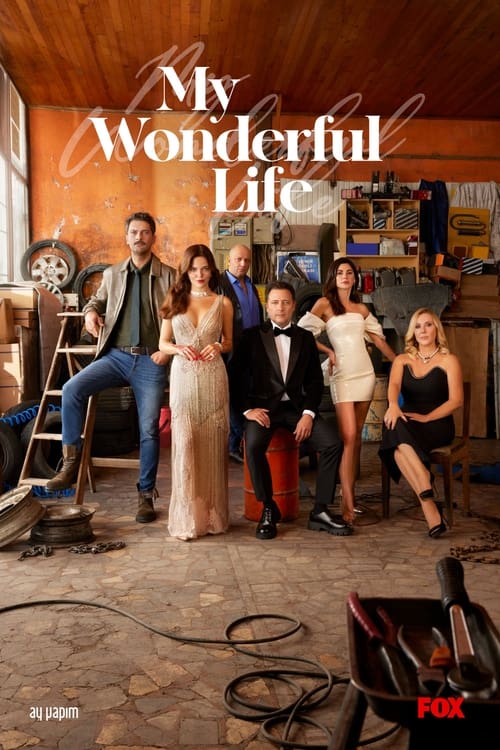 Poster della serie My Wonderful Life