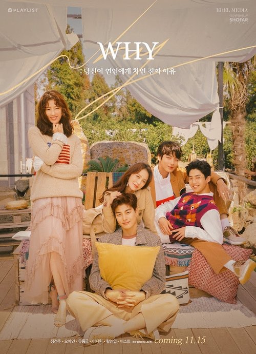 Poster della serie W.H.Y. : What Happened to Your relationship