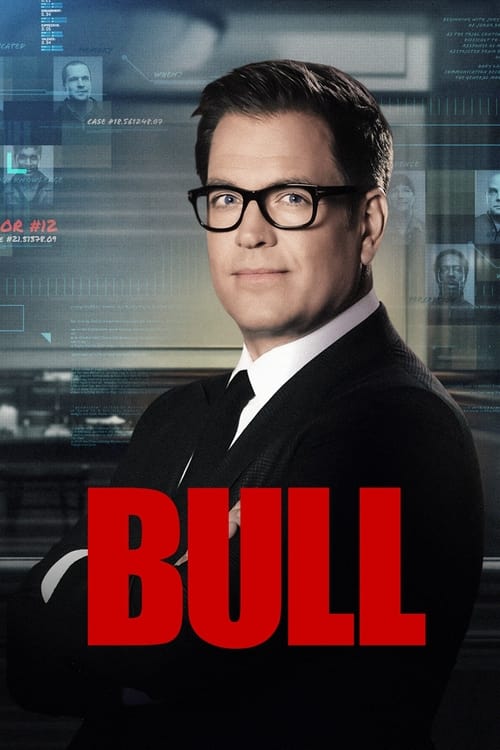 Poster della serie Bull