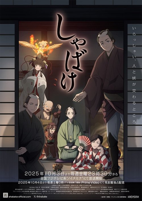 Poster della serie Shabake