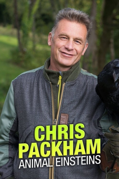 Poster della serie Chris Packham's Animal Einsteins