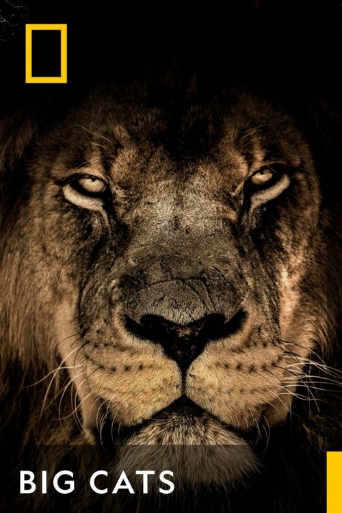 Poster della serie Big Cats