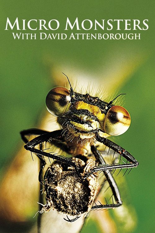 Poster della serie Micro Monsters with David Attenborough