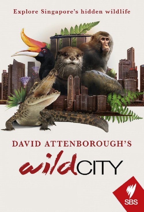 Poster della serie David Attenborough's Wild City
