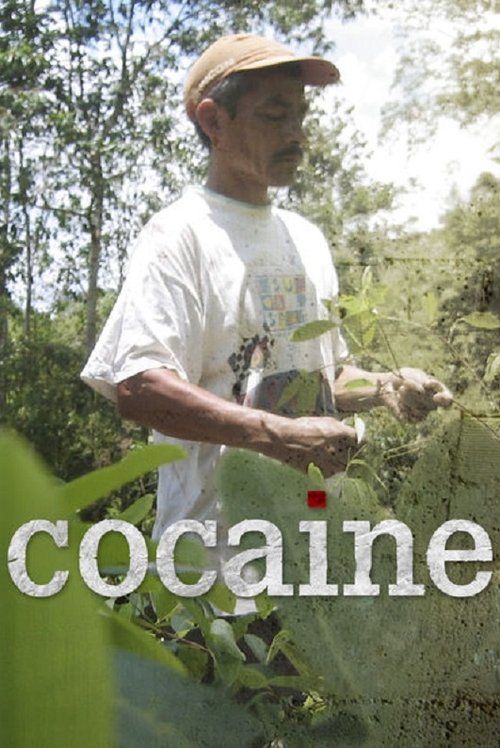 Poster della serie Cocaine