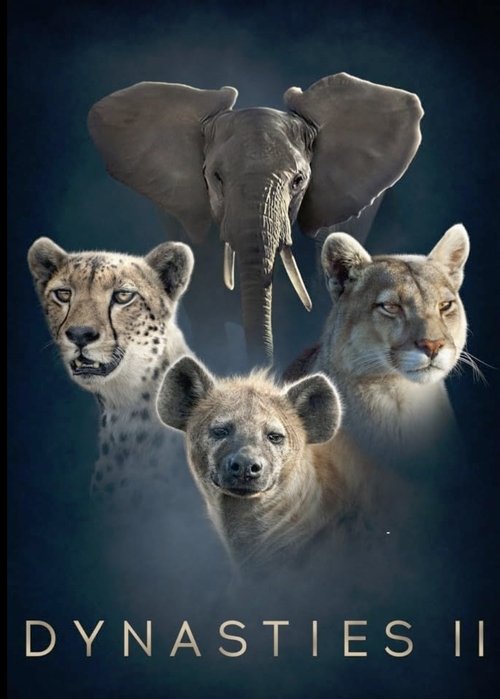Poster della serie Dynasties II