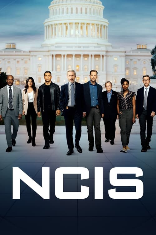 Poster della serie NCIS
