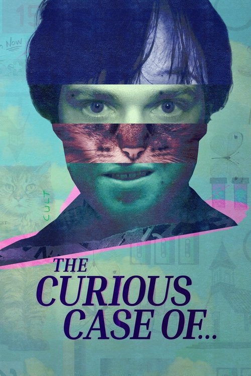 Poster della serie The Curious Case of...