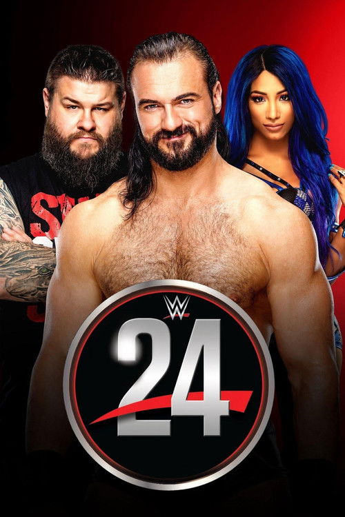Poster della serie WWE 24