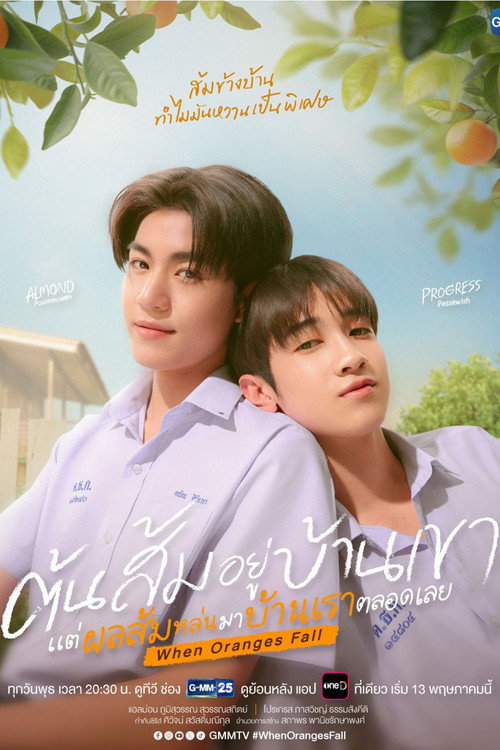 Poster della serie When Oranges Fall