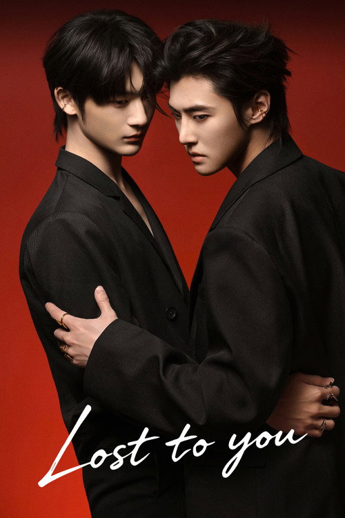 Poster della serie Lost To You
