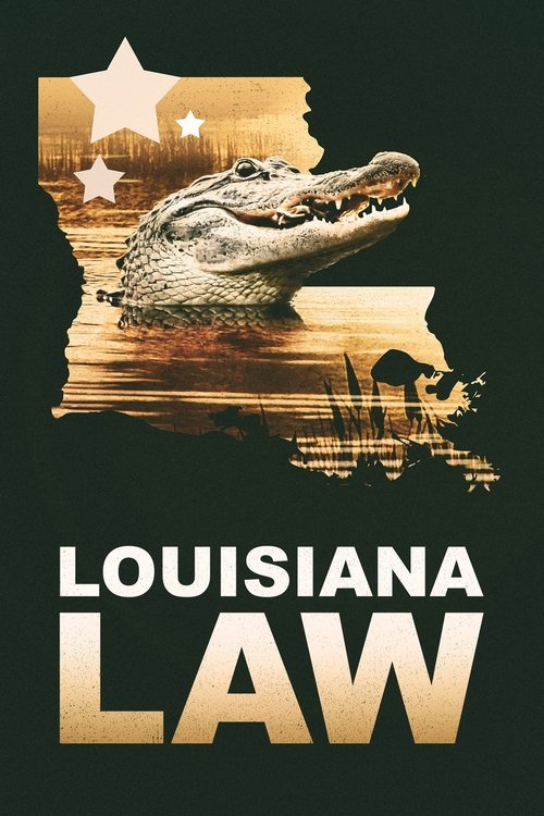 Poster della serie Louisiana Law